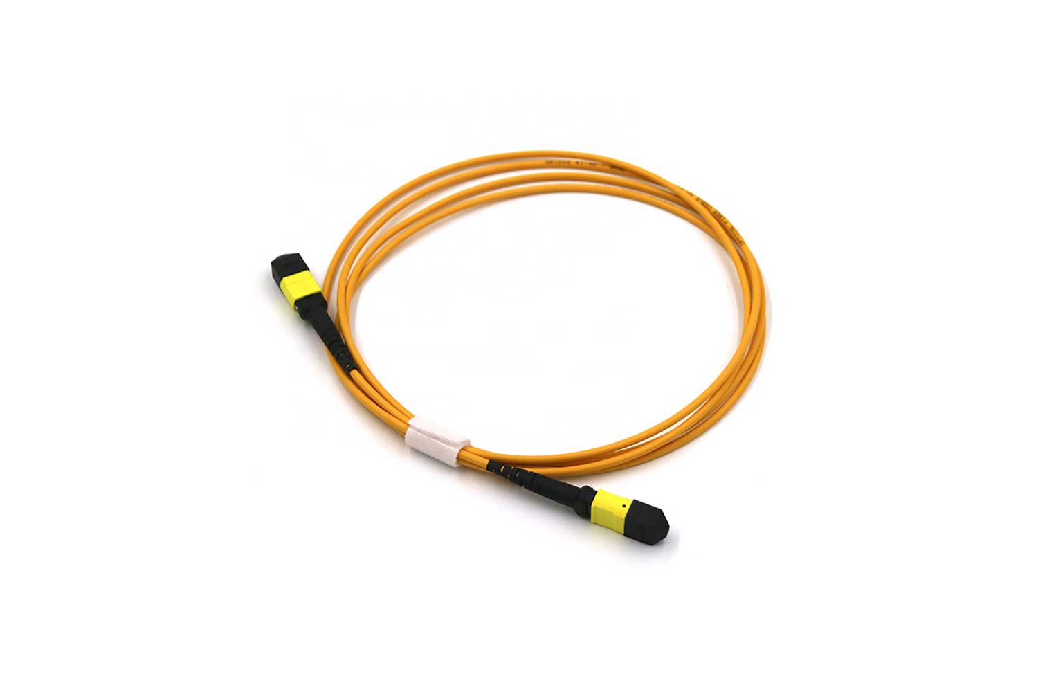 MTP/MPO Trunk Cable